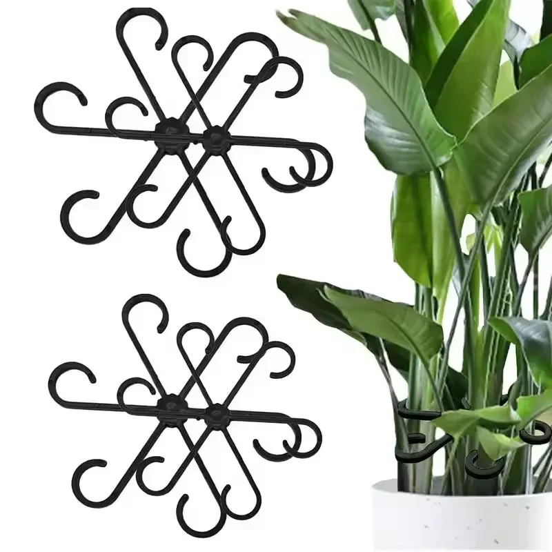 ที่ค้ำใบอะโลคาเซีย มอนสเตอร่า  - Vine Climbing Plastic บทวิจารณ์และราคา