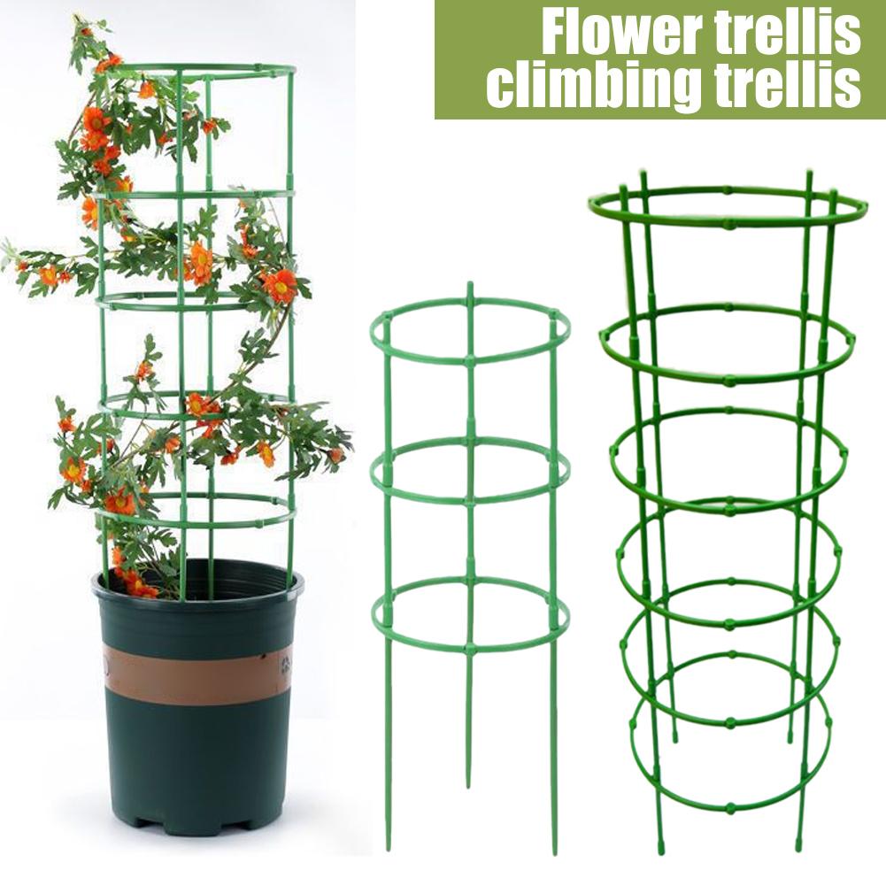 วงแหวนรองรับต้นไม้เลื้อยแบบปรั - Vine Climbing Plastic บทวิจารณ์และราคา